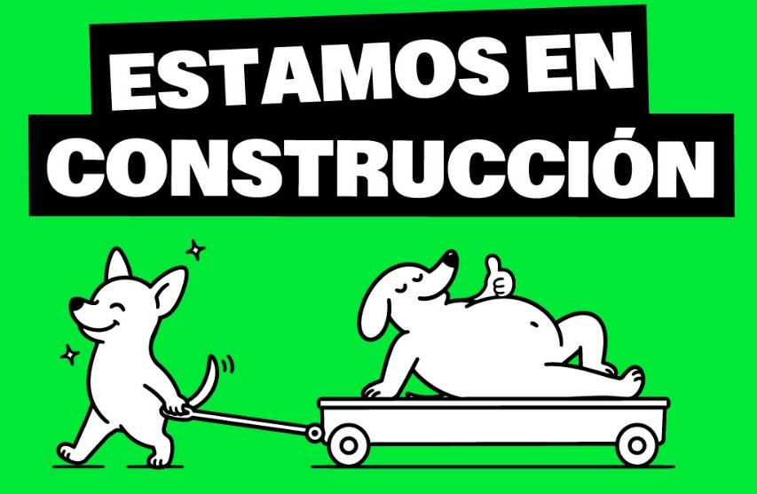 Contenido 4Patas